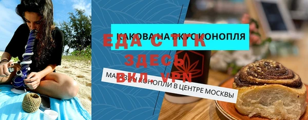 молекула духа Вяземский